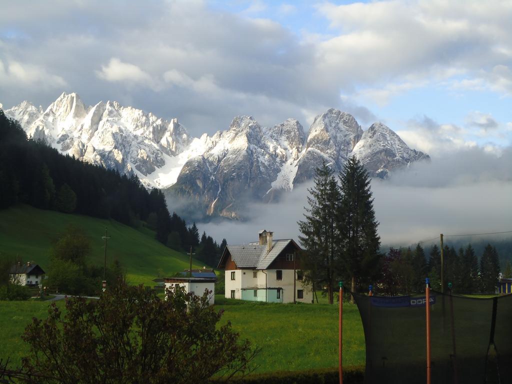 Apartament Haus Gruenwald Gosau