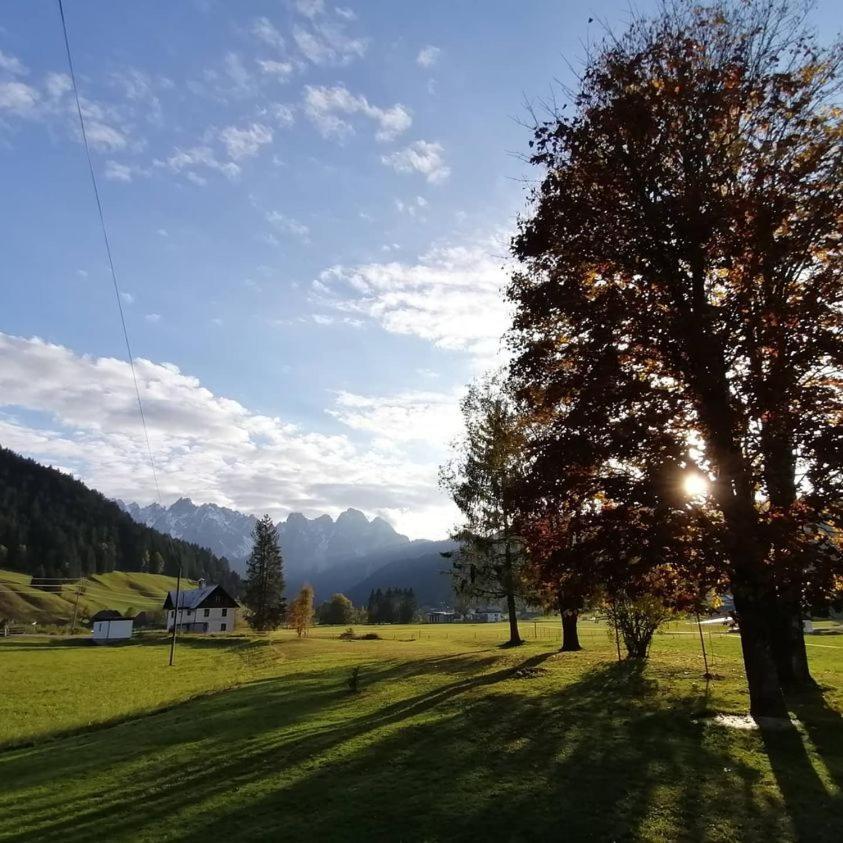 Haus Gruenwald *